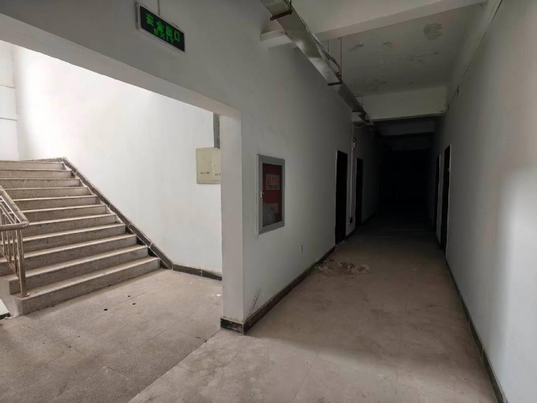 江苏徐州睢宁县德发路西侧、兴业路南侧睢谷高标准厂房一期8号楼东侧宿舍2层西段(招租面积500平方米)、3层西段(招租面积500平方米)房产整体招租公告(国资监测编号GR2026JS4002385)