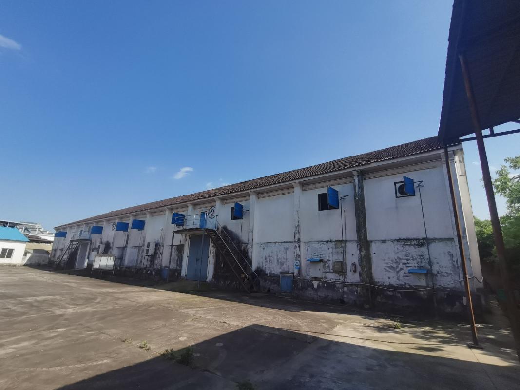 芜湖市湾沚区六郎镇周皋村原周皋粮站房屋、场地及附属设施出租公告