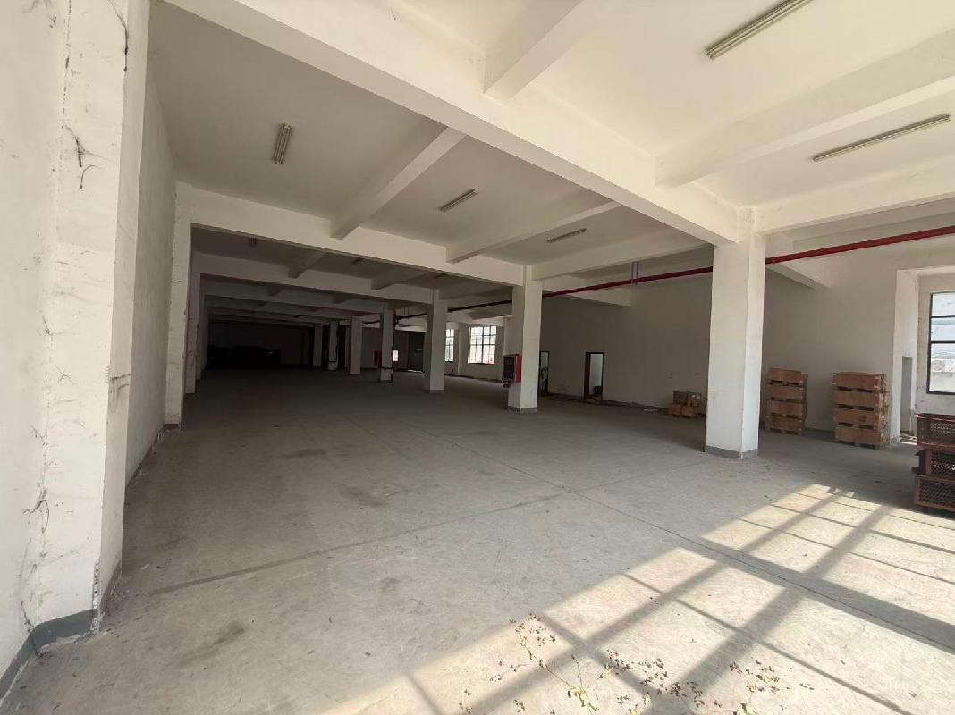 常州市滨江经济开发区东港二路26号杨园工业园（西区）4幢3号厂房转让公告(国资监测编号GR2026JS2002399-2)