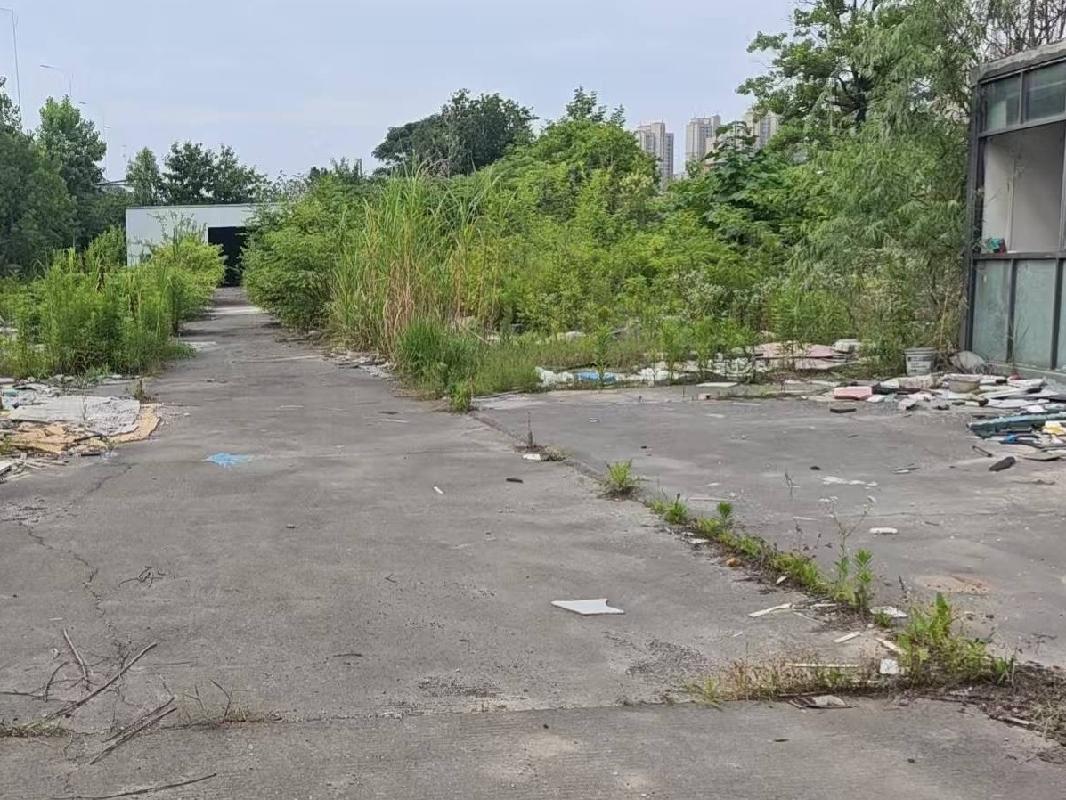 芜湖市鸠江区清水街道军滩社区一处空地出租公告