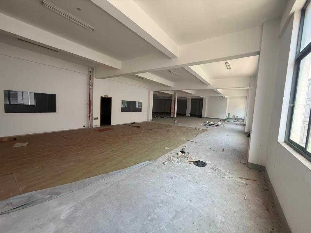 常州市滨江经济开发区东港二路26号杨园工业园（西区）4幢3号厂房转让公告(国资监测编号GR2026JS2002399-2)