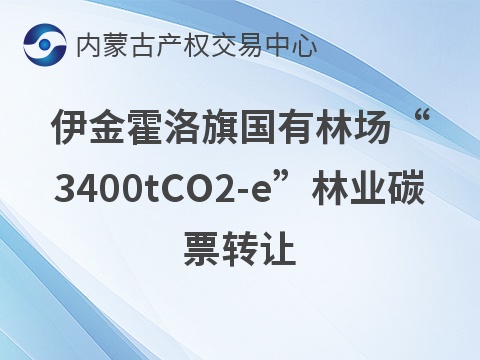 伊金霍洛旗国有林场新街治沙站阿鲁图作业区“3400tCO₂-e”林业碳票转让(国资监测编号GR2026NM1002793)