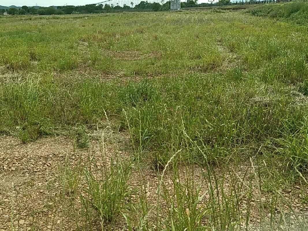 衢江区后溪镇泉井边村溪滩部分土地公开挂牌招租