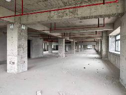 江苏徐州睢宁县长旺路西侧、兴业路北侧睢谷科技园孵化器标准厂房4号楼4层房产整体招租公告(国资监测编号GR2026JS4002384)