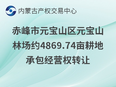 赤峰市元宝山林场约4869.74亩耕地承包经营权转让（承包期10年，承包底价58436880.00元/10年）