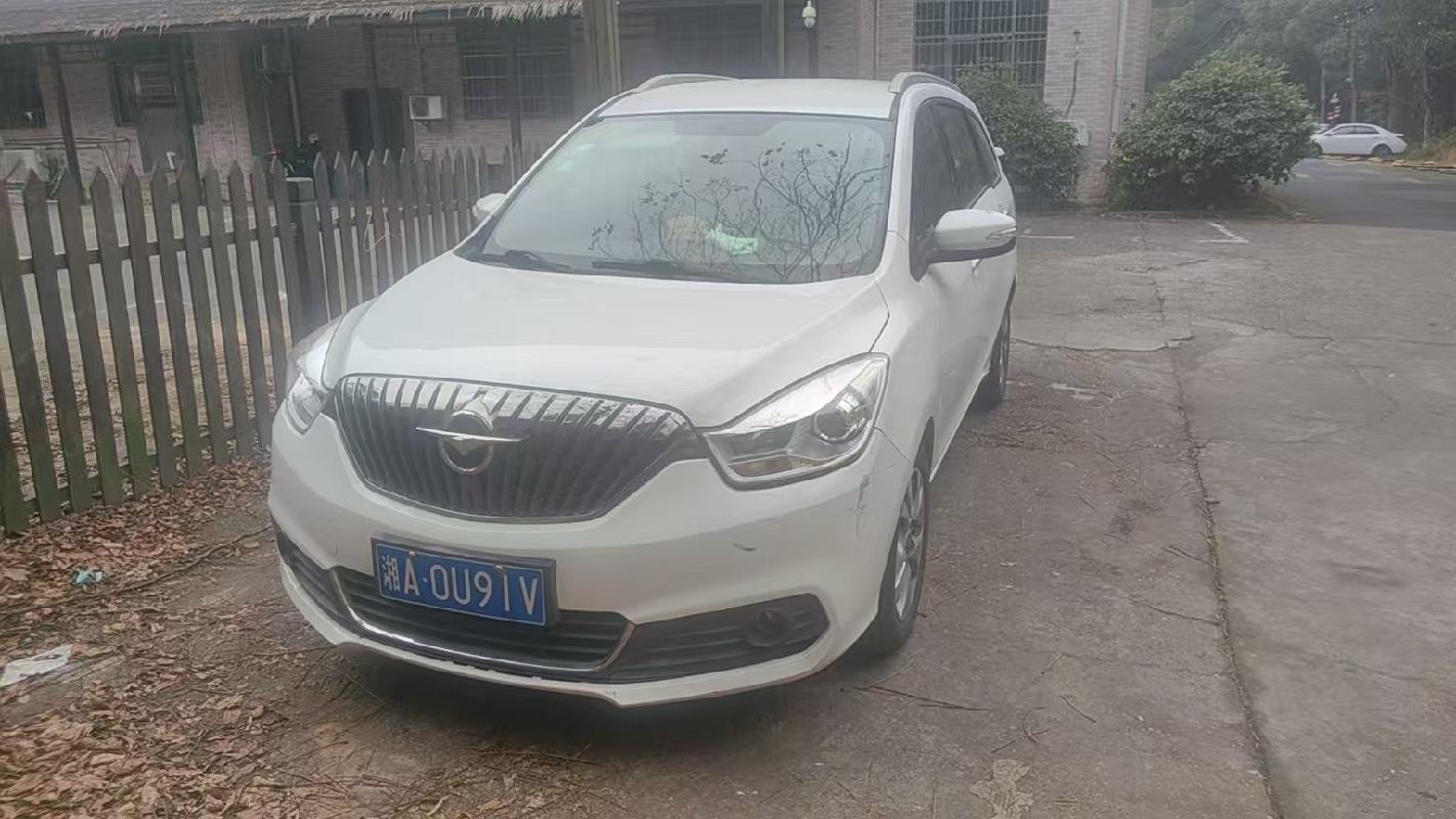(湘A0U91V)海马牌小型普通客车