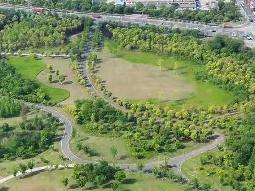 常州市经开区鹅颈湾生态湿地公园草坪场地招租公告