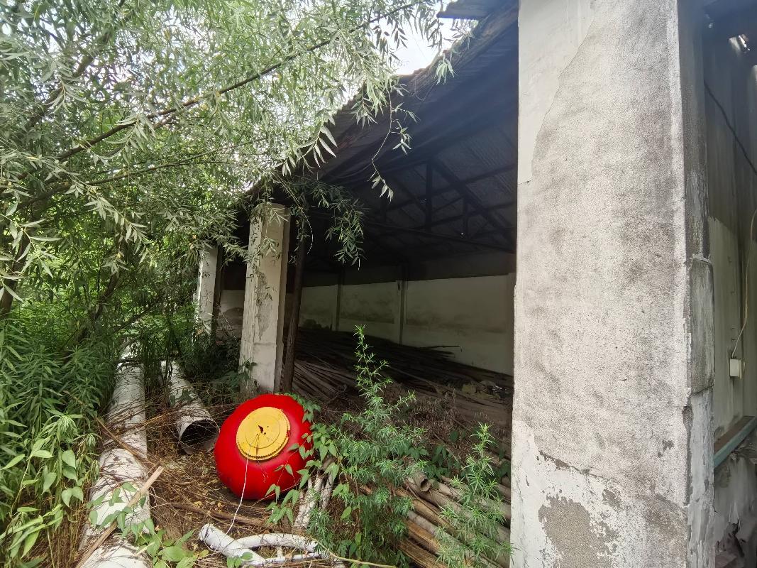 无为市高沟镇新沟食品组房屋及场地出租（第二次）公告(国资监测编号GR2026AH2002333)