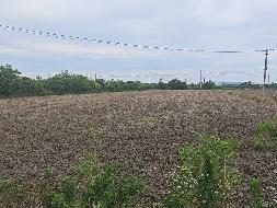 芜湖市弋江区火龙街道围山村约65.4亩土地经营权出租公告