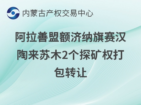 内蒙古自治区额济纳旗苦泉山南东3.6公里铁矿普查、内蒙古自治区额济纳旗西热哈达北西金多金属矿普查探矿权打包转让