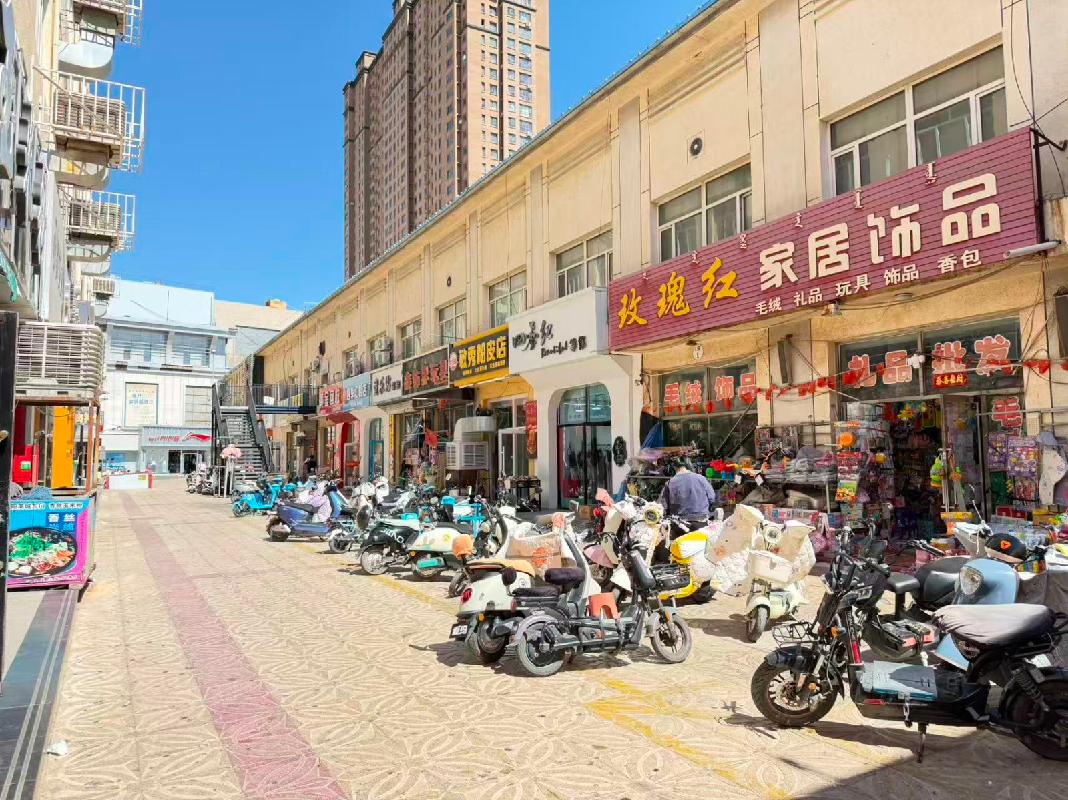 内蒙古巴盟五原县华阳商城步行街A座-202商业房产转让（内蒙古金叶投资有限责任公司）(七次挂牌)(国资监测编号GR2024NM1004013-7)