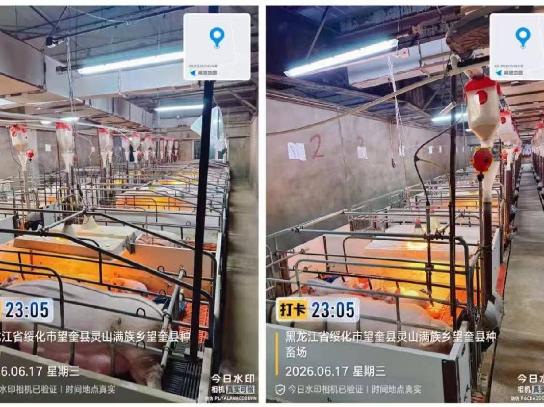 黑龙江北大荒牧业集团有限公司生产性生物性资产转让交易公告交易公告