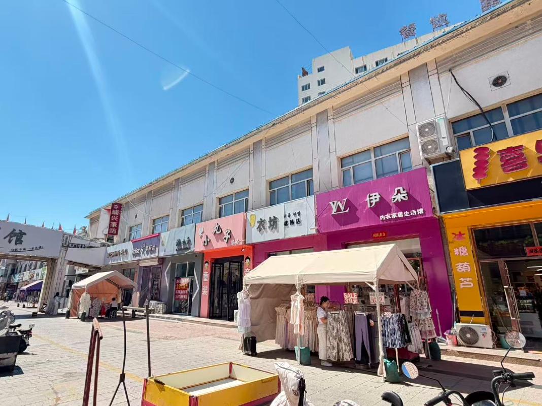 内蒙古巴盟五原县华阳商城步行街A座-202商业房产转让（内蒙古金叶投资有限责任公司）(七次挂牌)(国资监测编号GR2024NM1004013-7)