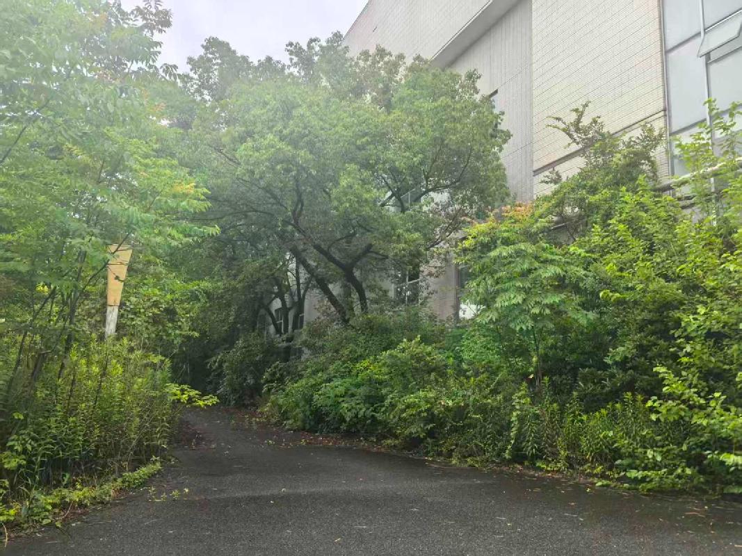 常州市钟楼经济开发区香樟路52-2号工业用房、土地使用权及附属设施转让公告(国资监测编号GR2026JS2002434)