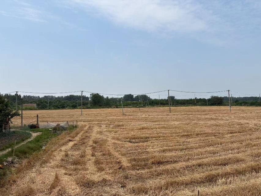 淮安市洪泽区东双沟镇张庄村境内，砚临河南侧、洪三路西侧土地招租招租公告