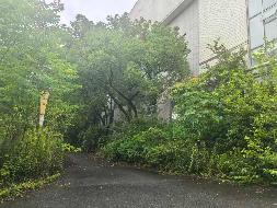 常州市钟楼经济开发区香樟路52-2号工业用房、土地使用权及附属设施转让公告(国资监测编号GR2026JS2002434)