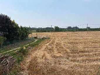淮安市洪泽区东双沟镇张庄村境内，砚临河南侧、洪三路西侧土地招租招租公告