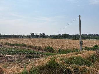 淮安市洪泽区东双沟镇张庄村境内，砚临河南侧、洪三路西侧土地招租招租公告