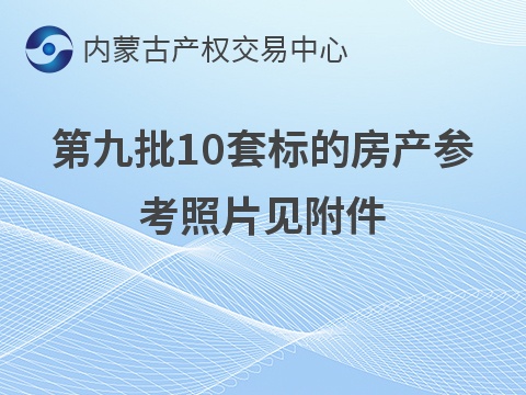 突泉县突泉镇第九批（共10套）住宅房产分别转让