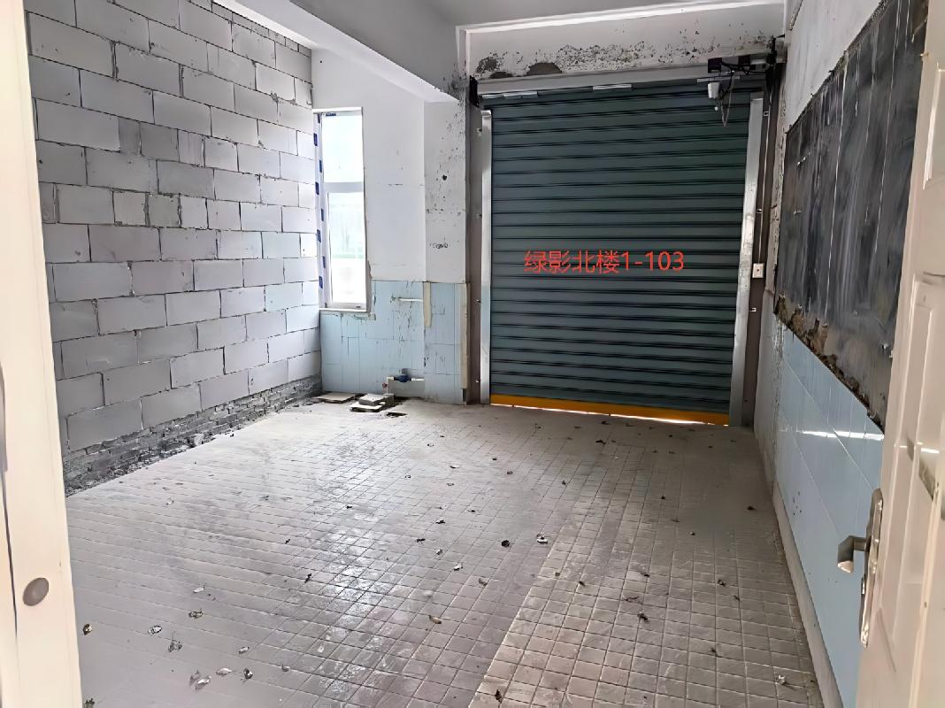 芜湖市镜湖区绿影小学绿影北楼1#楼4处商业房产出租（一次降价）公告