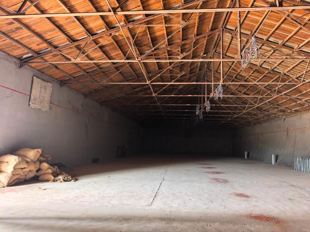 通辽河西粮食储备库有限公司4幢库房及工业用地(含罩棚)分别出租（年租金详见清单，租期均为3年）