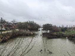 芜湖市湾沚区陶辛镇双桥村马桥沟、角十沟约262亩水面5年期经营权出租公告