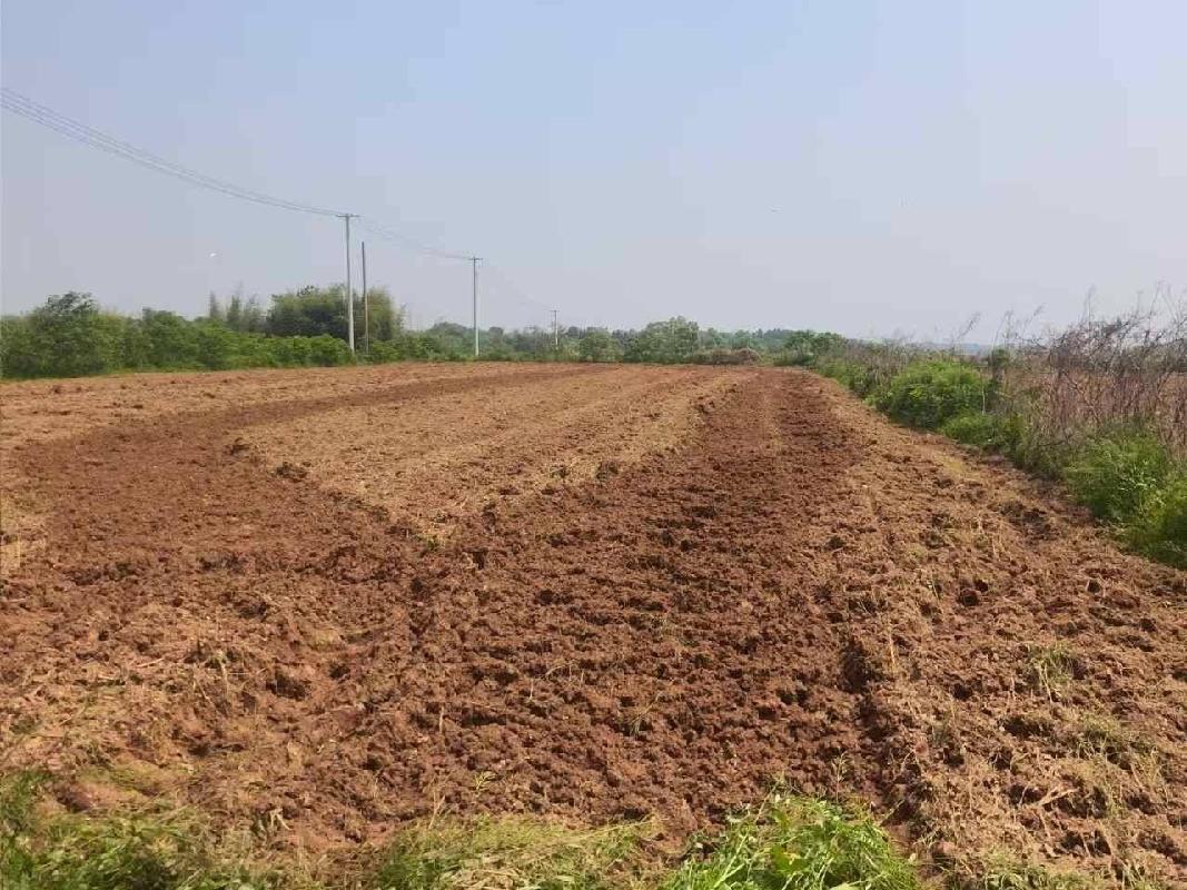 衢江区莲花镇上余村十里丰片（原乌溪垅）土地公开挂牌招租
