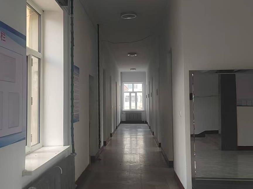 呼伦贝尔市海拉尔区奋斗办绿色食品发展中心西侧新绿波北侧（原草原工作站）办公楼及4个车库整体招租（年租金底价461211元，租期10年）(国资监测编号GR2026NM1002899)