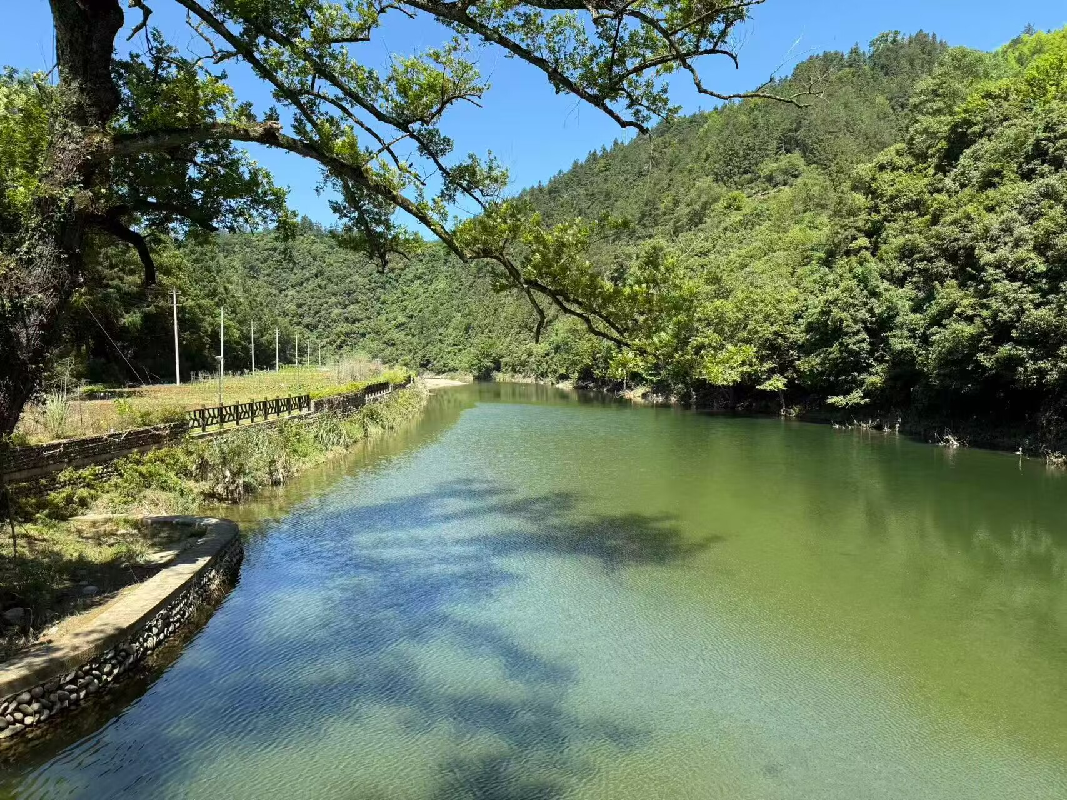 黄山市徽州区3191.45亩水利资源资产盘活项目公告(国资监测编号GR2026AH2001601)