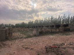 内蒙古自治区通辽市科尔沁区木里图镇合兴村通库公路南1处31430.02平方米养殖用地使用权及地上房屋建筑物整体出租（租金详见租金递增方式一览表，租期20年）(国资监测编号GR2026NM1002904)