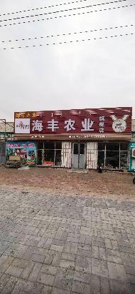 内蒙古自治区通辽市开鲁县吉日嘎朗吐镇幸福村16间门市房独立出租（年租金详见明细表，租期均为4年）