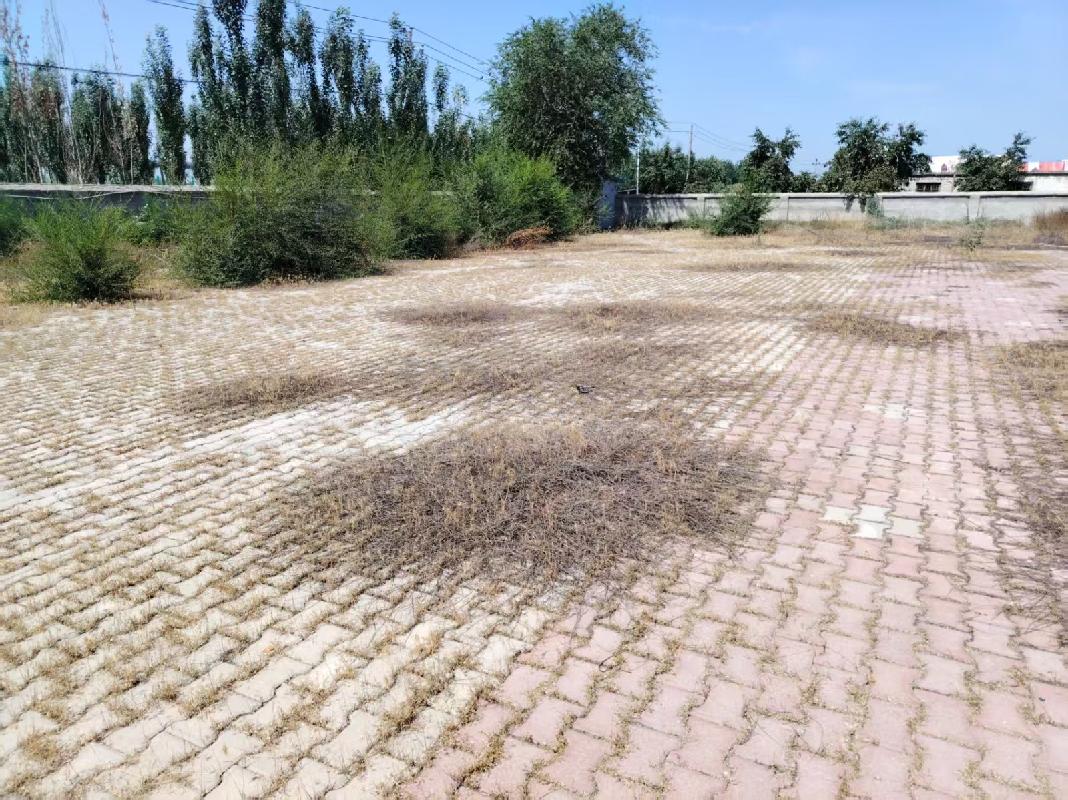 伊宁市伊水街道办事处位于伊宁市伊水街道伊兴社区馕产业园房屋建筑面积约535.82平方米对外招租，租期三年
