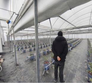 马鞍山市濮塘蓝莓种植园4年期经营权出租公告(国资监测编号GR2026AH2001633)