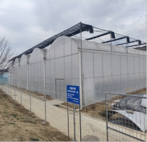 马鞍山市濮塘蓝莓种植园4年期经营权出租公告(国资监测编号GR2026AH2001633)