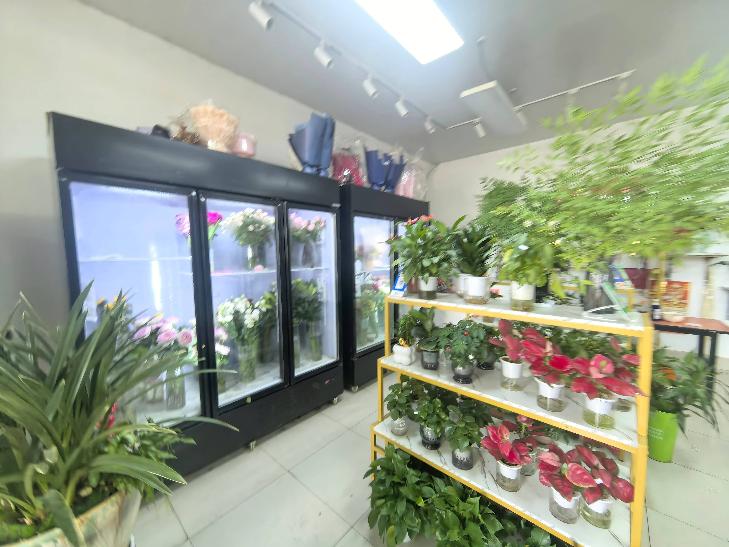 清潭路260号-4店面房招租公告