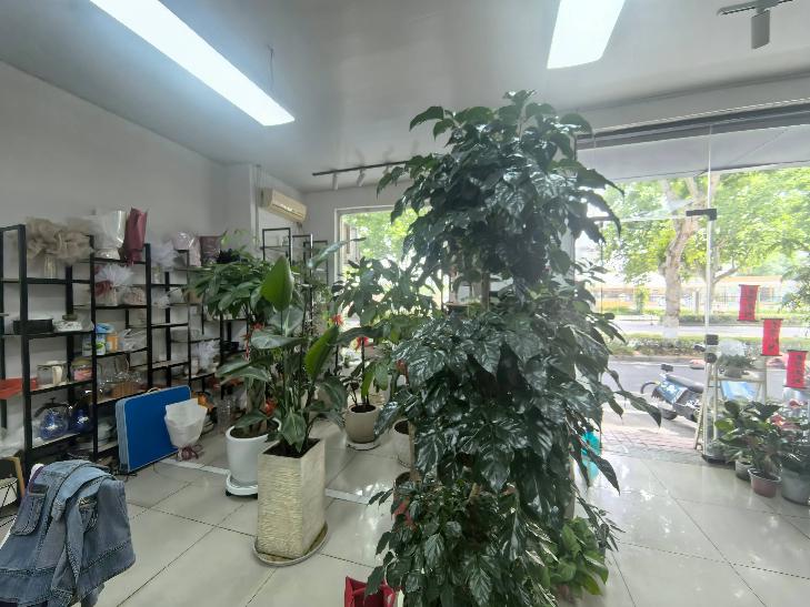 清潭路260号-4店面房招租公告