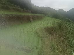 衢江区湖南镇湖南村金家山蔬菜基地公开挂牌招租