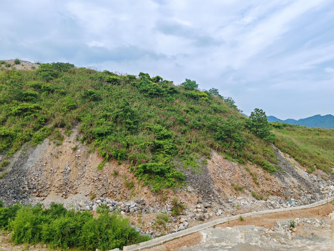 池州市贵池区棠溪熔剂用石灰岩矿、熔剂用白云岩矿可综合利用剥离物资源转让公告(国资监测编号GR2026AH2001714)