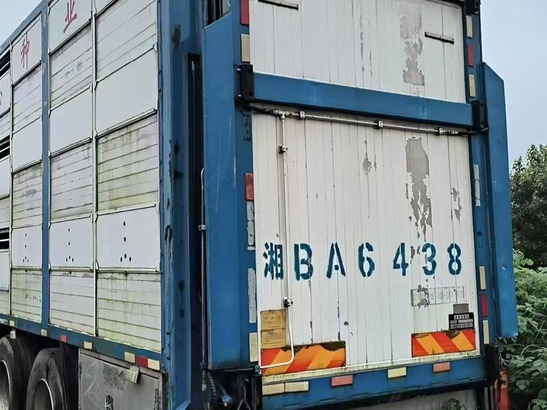 标的2：湘BA6438三层种猪运输车(国资监测编号GR2026HN1001636)