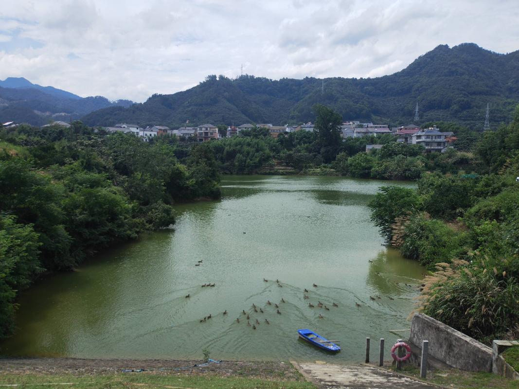 衢江区周家乡板桥村泉目塘水库公开挂牌招租(二次挂牌)