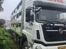 标的2：湘BA6438三层种猪运输车(国资监测编号GR2026HN1001636)