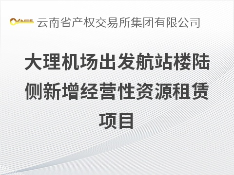 大理机场出发航站楼陆侧新增经营性资源租赁项目(国资监测编号GR2026YN1000357)