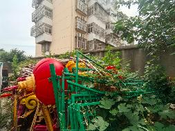 路灯线缆、灯杆、祥云灯及灯头等报废资产转让公告(国资监测编号GR2026AH2001661)