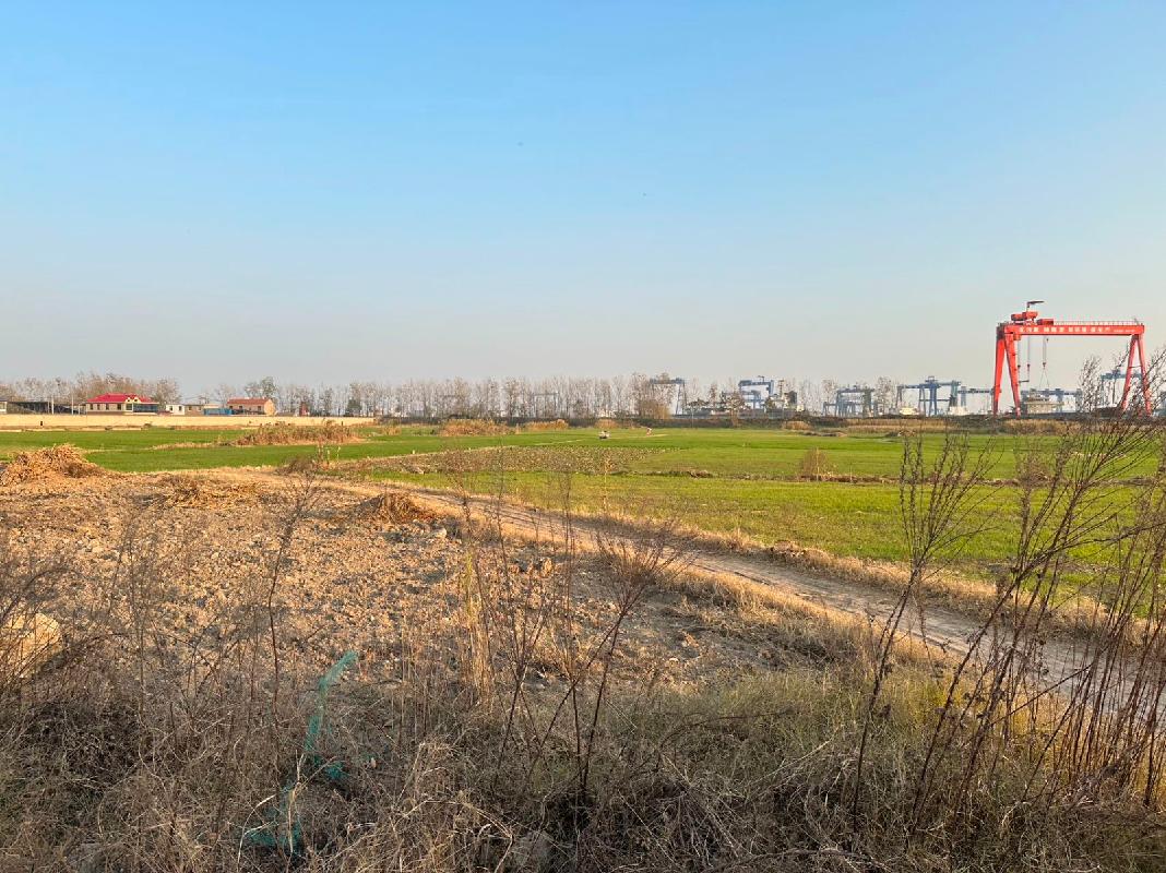 江苏灌河半岛实业有限公司灌南县堆沟港镇八队村工业用地转让交易公告(国资监测编号GR2026JS3003093)