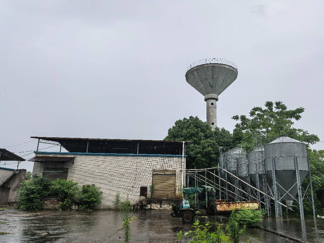 湖南新五丰股份有限公司耒阳畜牧生态园养殖场招商公告(国资监测编号GR2026HN1001641)