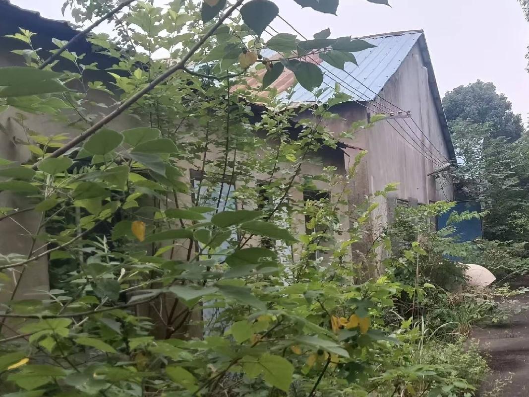 湖南省常德市临澧县柏枝乡雨台村雷家组养殖场招商公告(国资监测编号GR2026HN1001642)