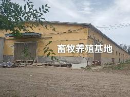 昌吉鑫茂农牧有限责任公司租赁位于昌吉市大西渠镇新渠村畜牧养殖基地及商铺(国资监测编号GR2026XJ1001222)