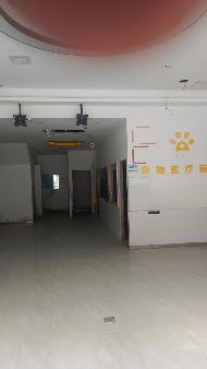 江苏徐州泉山区淮海天地商住区五街区1号楼1-118、1-119房产整体招租项目公告(国资监测编号GR2026JS4002552)