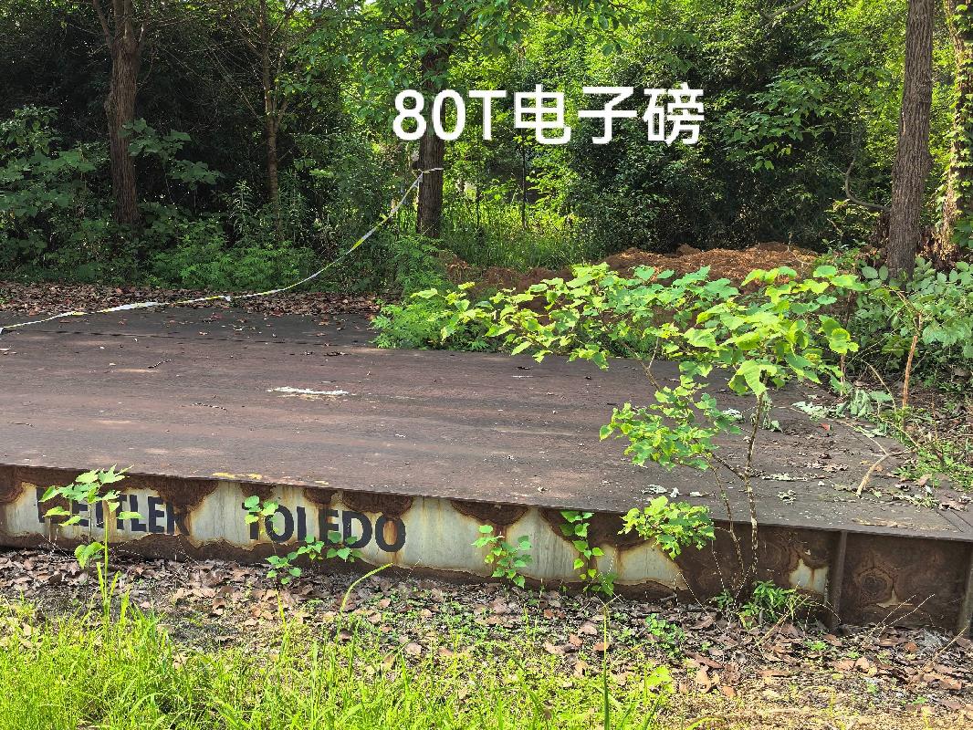 谷物冷却机、组合式清理筛及链条式扒谷机等17项报废设备资产(四次挂牌)