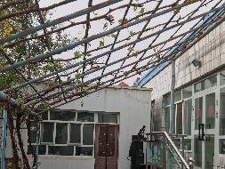 霍城县水定镇人民政府位于霍城县水定镇朝阳北路西七巷02-06-053号约310㎡院落（建面约190㎡）对外招租，租期五年